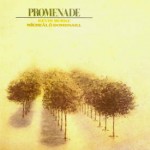 Promenade – Kevin Burke & Mícheál Ó Domhnaill cover